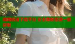 暗网极速下载平台 安全隐秘资源一键获取