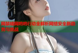 网禁暗网哟哟行动全解析网络安全新趋势与挑战