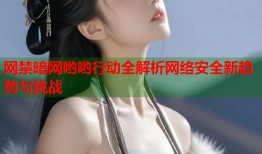 网禁暗网哟哟行动全解析网络安全新趋势与挑战