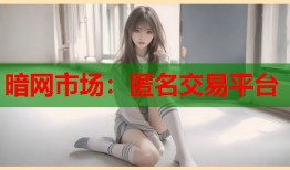 暗网市场：匿名交易平台