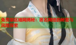 免费禁区暗网揭秘：匿名网络的秘密与风险探索