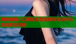 揭秘暗网入口网站全面指南安全访问与风险防范详解