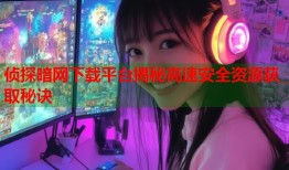 侦探暗网下载平台揭秘高速安全资源获取秘诀