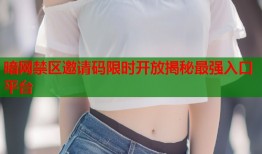 暗网禁区邀请码限时开放揭秘最强入口平台