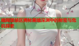 暗网楚禁区揭秘黑暗深渊中的秘密与危机探索