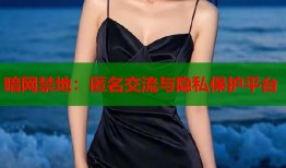 暗网禁地：匿名交流与隐私保护平台