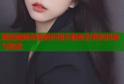 网络暗网深度解析揭示隐秘世界的机遇与挑战
