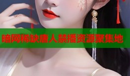 暗网稀缺唐人禁播资源聚集地