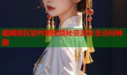暗网禁区软件揭秘隐秘资源安全访问神器