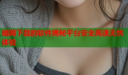 暗网下载的软件揭秘平台安全高速无忧体验