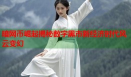 暗网币崛起揭秘数字黑市新经济时代风云变幻