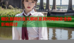 暗区禁网的含义解析及其对网络安全的影响探讨