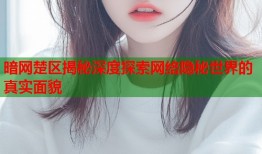 暗网楚区揭秘深度探索网络隐秘世界的真实面貌