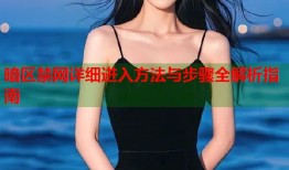 暗区禁网详细进入方法与步骤全解析指南