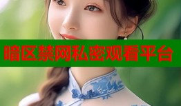暗区禁网私密观看平台