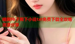 暗网柿子殿下小说txt免费下载全攻略资源分享