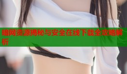 暗网资源揭秘与安全在线下载全攻略解析