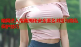 暗网进入指南揭秘安全匿名浏览与隐私保护技巧