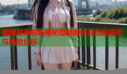 暗网是真的吗揭秘隐藏网络背后的真相与风险分析