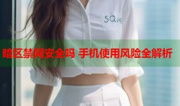 暗区禁网安全吗 手机使用风险全解析