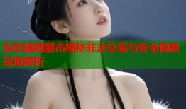 东欧暗网黑市揭秘非法交易与安全隐患深度解析