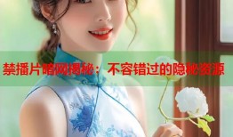 禁播片暗网揭秘：不容错过的隐秘资源
