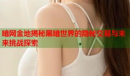 暗网金地揭秘黑暗世界的隐秘交易与未来挑战探索