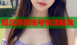 暗区禁网账号快速解除