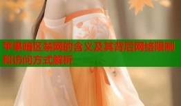 苹果暗区禁网的含义及其背后网络限制和访问方式解析