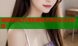 暗网禁区软件揭秘隐秘世界安全访问利器