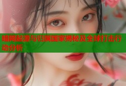 暗网起源与归属国家揭秘及全球打击行动分析