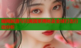 暗网起源与归属国家揭秘及全球打击行动分析