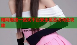 暗网连接一站式平台安全匿名访问全攻略