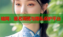 暗网：匿名浏览与隐私保护平台