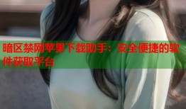 暗区禁网苹果下载助手：安全便捷的软件获取平台