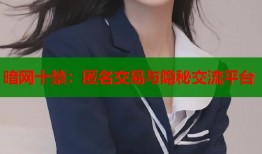 暗网十禁：匿名交易与隐秘交流平台