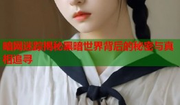 暗网迷踪揭秘黑暗世界背后的秘密与真相追寻