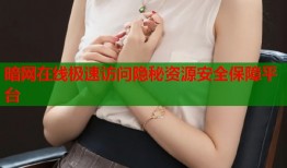 暗网在线极速访问隐秘资源安全保障平台