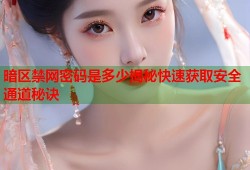 暗区禁网密码是多少揭秘快速获取安全通道秘诀