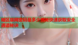 暗区禁网密码是多少揭秘快速获取安全通道秘诀