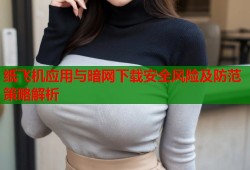 纸飞机应用与暗网下载安全风险及防范策略解析