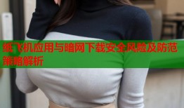 纸飞机应用与暗网下载安全风险及防范策略解析