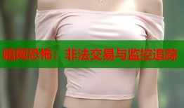 暗网恐怖：非法交易与监控追踪