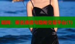 暗网：匿名通信与隐秘交易平台(1)