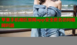 苹果手机暗区禁网app安全匿名访问暗网利器