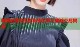 暗网迷雾背后的秘密世界与黑暗交易揭秘