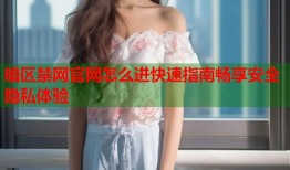 暗区禁网官网怎么进快速指南畅享安全隐私体验
