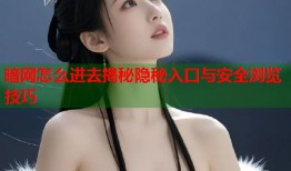 暗网怎么进去揭秘隐秘入口与安全浏览技巧