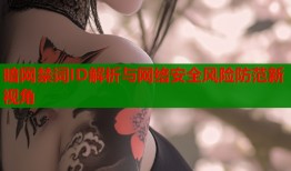暗网禁词ID解析与网络安全风险防范新视角