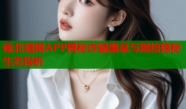 缅北暗网APP揭秘诈骗黑幕与网络隐秘生态探析